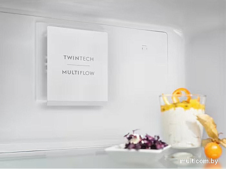 Холодильник Electrolux LNT5ME32W1