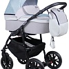 Универсальная коляска Alis Road (2 в 1, Ro 04)