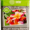 Фотобумага CACTUS Глянцевая 10x15 200 г/м2 50 листов