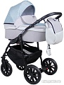 Универсальная коляска Alis Road (2 в 1, Ro 04)