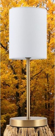 Настольная лампа ArtStyle HT-798BRS