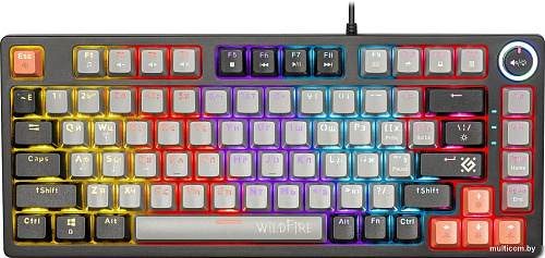 Клавиатура Defender Wildfire GK-213 (серый/черный)
