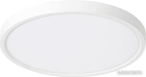 Светильник Digma TopLight TL40