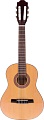 Акустическая гитара Fabio FC02 N