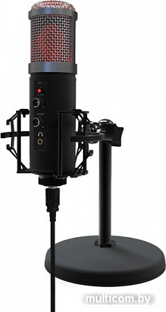 Ritmix RDM-260 USB Eloquence