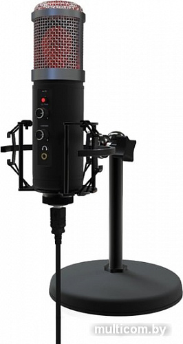 Ritmix RDM-260 USB Eloquence