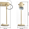 Настольная лампа ЭРА N-117-Е27-40W-BG