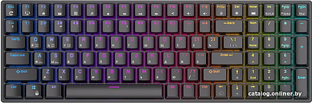 Клавиатура Royal Kludge RK100 RGB (черный, RK Brown)