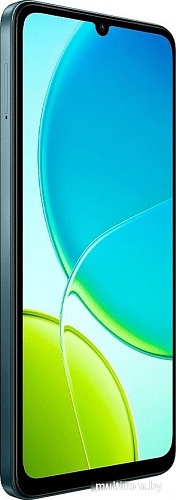 Телефон Vivo Y04 4GB/128GB международная версия (малахитовый черный)