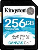 Карта памяти Kingston Canvas Go! SDG/256GB SDXC 256GB