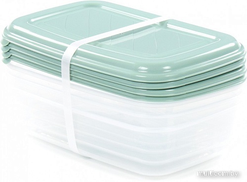 Набор контейнеров Полесье №40 1.6л с крышками 73782 (4 шт, прозрачный/бледно-оливковый)