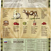 Сухой корм для кошек Dezzie Sterilized Cat (для стерилизованных с курицей и говядиной) 10 кг
