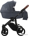 Универсальная коляска BEBETTO Luca (2 в 1, 06, черная рама)