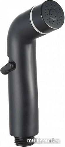 Душевая лейка Esko HHS200Black