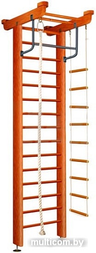 Детский спортивный комплекс Карусель 2Д.05.01 (орех)