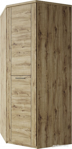Шкаф распашной Anrex Doorset угловой 1DG (дуб наварра)