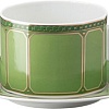 Чашка с блюдцем Rosenthal Signum Fern 10570-426349-14770
