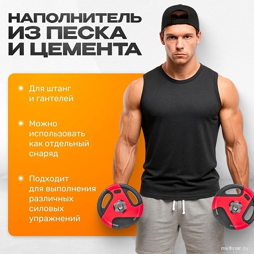 Набор дисков Sundays IR91041 2x1.25 кг