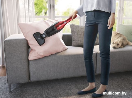 Пылесос Electrolux EER7ANIMAL