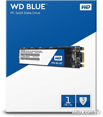 SSD WD Blue PC 1TB [WDS100T1B0B]