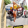 Сухой корм для кошек Brooksfield Hairball Control говядина/рис 2 кг