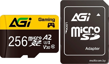 Карта памяти AGI TF138 Supreme microSDXC 256GB AGI256GGSTF138 (с адаптером)