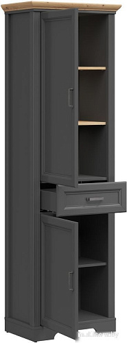 Шкаф распашной BRW Jasmin REG2D1S (графит/дуб артизан)