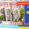 Пазл Castorland Три котенка B-030330 (300 эл)