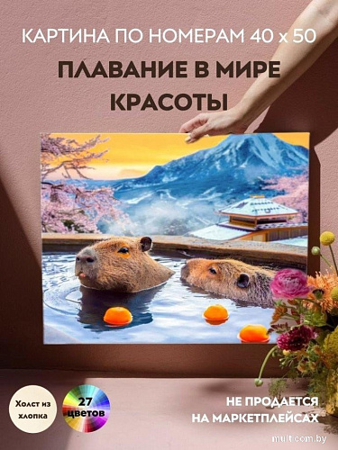 Картина по номерам ILikeGift Плавание в мире красоты HR0632