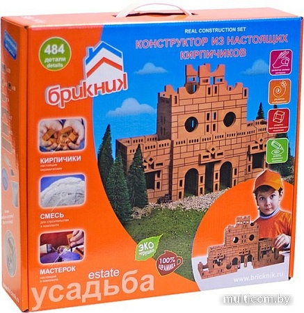 Сборная модель БрикНик Усадьба
