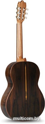 Акустическая гитара Alhambra Student Iberia Ziricote