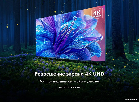 Телевизор Haier 65 Smart TV S2