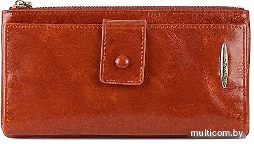 Кошелек Francesco Molinary 895-3387-BRW (коричневый)