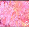 Телевизор Samsung QLED 4K Q60C QA55Q60CAUXZN