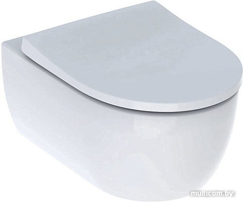 Унитаз Geberit Icon 500.784.01.1