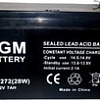 Аккумулятор для ИБП AGM Battery GP 1272 F2 (12В/7 А·ч)