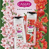 Camay Набор гелей для душа Botanicals (2x250 мл)