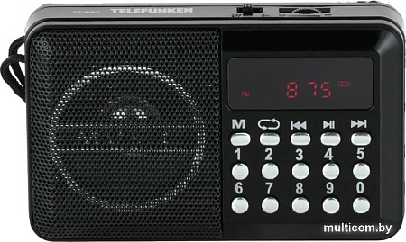 Радиоприемник TELEFUNKEN TF-1667
