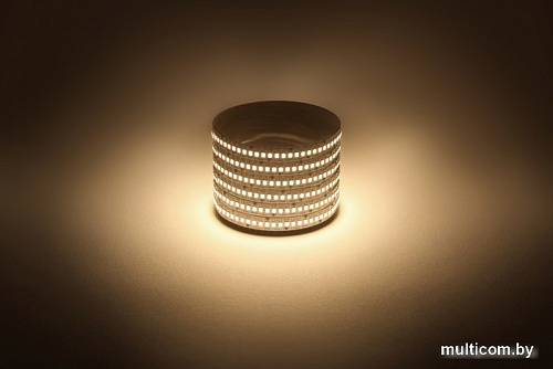 Светодиодная лента ЭРА LS2835 -19,2-240-12-3000K-IP20-1 year-5m теплый белый Б0059906
