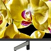 Телевизор Sony KD-55XG8096