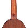 Укулеле Ortega Bonfire RUPA5