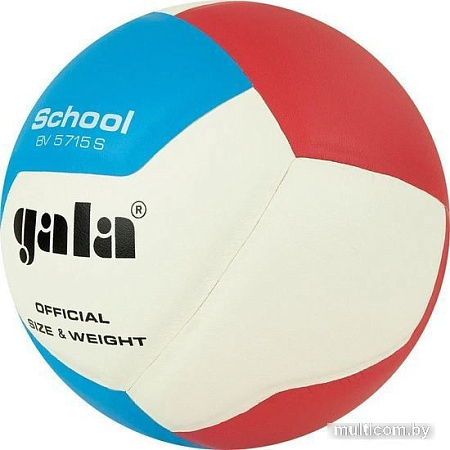 Волейбольный мяч Gala School 12 BV 5715 S (размер 5, белый/красный/голубой)