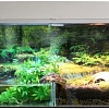 Террариум Lucky Reptile Стартовый комплект для амфибий SK50BP-W (белый)