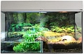 Террариум Lucky Reptile Стартовый комплект для амфибий SK50BP-W (белый)