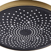 Верхний душ Maxonor Pure Life PL107-25-6