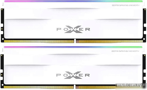 Оперативная память Silicon-Power XPower Zenith RGB 2x32ГБ DDR5 5600 МГц SP064GXLWU560FDH