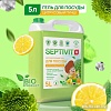 Septivit Цитрусовый пунш (5 л)