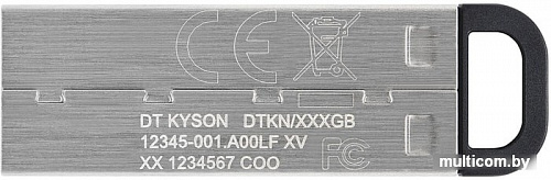 USB Flash Kingston Kyson 64GB