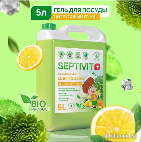 Septivit Цитрусовый пунш (5 л)