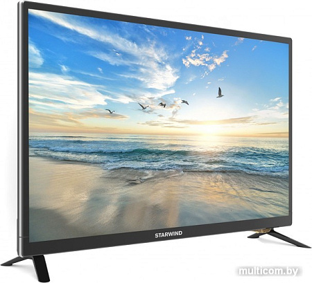 Телевизор StarWind SW-LED24BB201